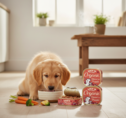 Lily's Kitchen Organic Puppy Food - 150g Pouches (11 Pack)
