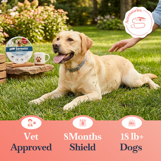 Seresto Flea & Tick Collar | Dogs >18 lbs | 8-Month Protection