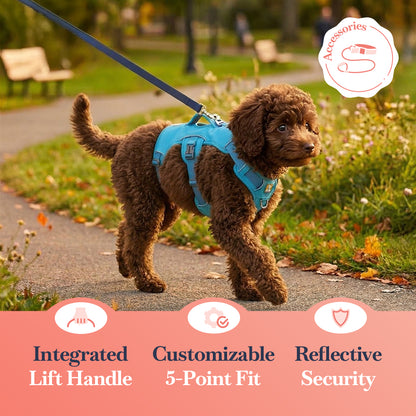 RUFFWEAR Web Master Harness / XX-Small / Blue Dusk / Multi-Use Support