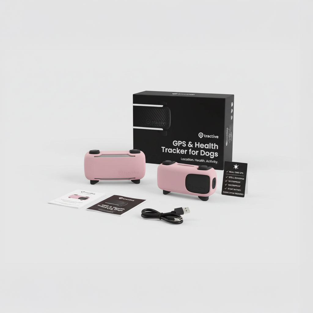 Tractive GPS Dog Tracker (2025) | Real-time GPS & Health Alerts | Black/Pink Bundle