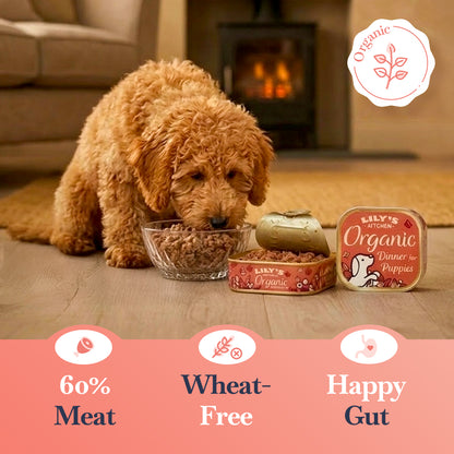 Lily's Kitchen Organic Puppy Food - 150g Pouches (11 Pack)