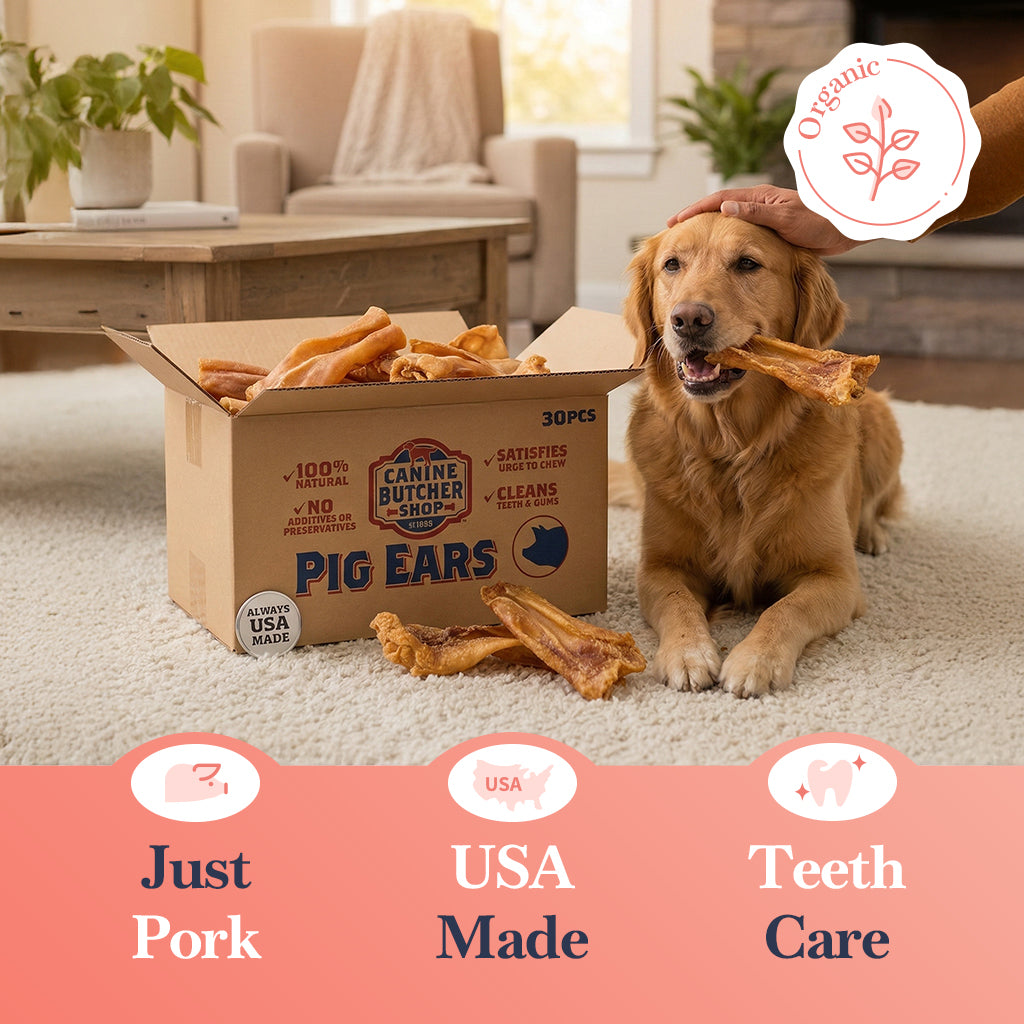 Canine Butcher Shop USA Pig Ears - 30 Jumbo All-Natural Chews