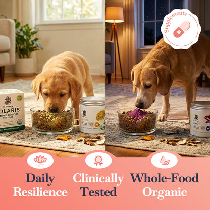 Dr. Harvey's Solaris Immune Support Dog Supplement (2.5oz 2-Pack)