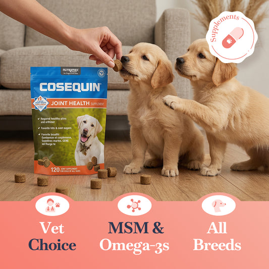 Nutramax Cosequin Dog Joint Health Soft Chews, Glucosamine, Chondroitin, MSM, Omega-3s, 120 Count