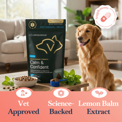 VetriScience Calm & Confident Chews for Dogs & Cats - Stress Relief Supplement (45 Count)