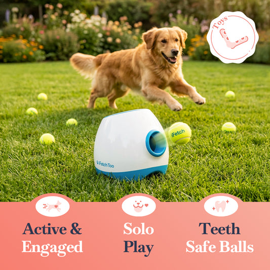 iFetch Too Automatic Dog Ball Launcher for Medium/Large Dogs, Rechargeable, Indoor/Outdoor